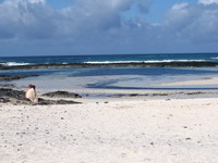 Playa Charcon